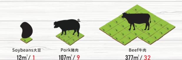 构建了一个完整的绿色蓝海