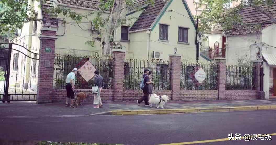 上海纸片楼内部视频,上海20厘米纸片楼视频