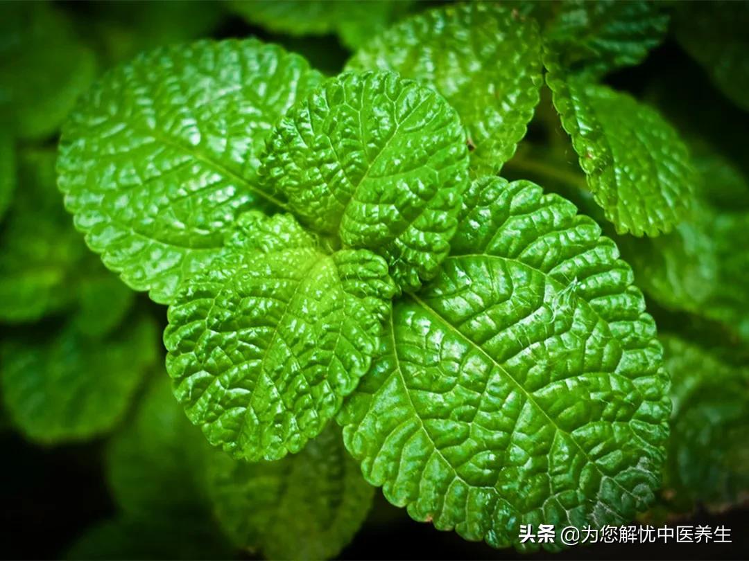 类风湿性关节炎怎么形成的,类风湿性关节炎贴什么膏药