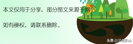 乐山必去小吃一条街老公园,乐山最美小西湖
