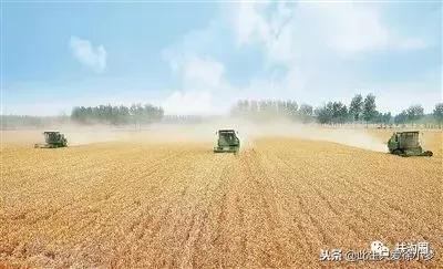 我的家乡，欢迎您来到扶沟！