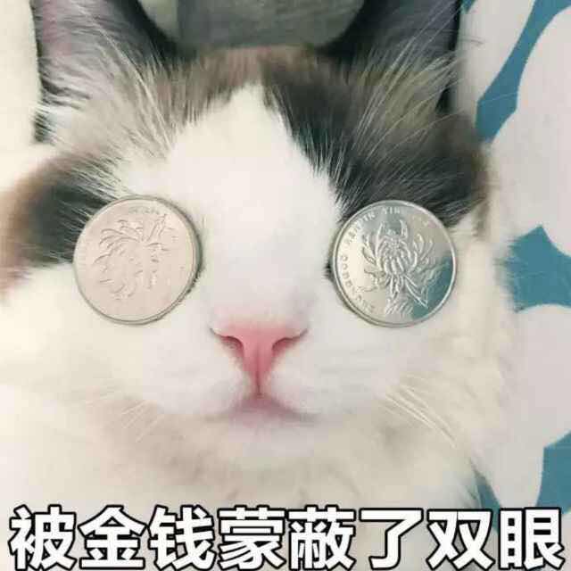 足球界的搞笑时刻,足球十大经典搞笑段子