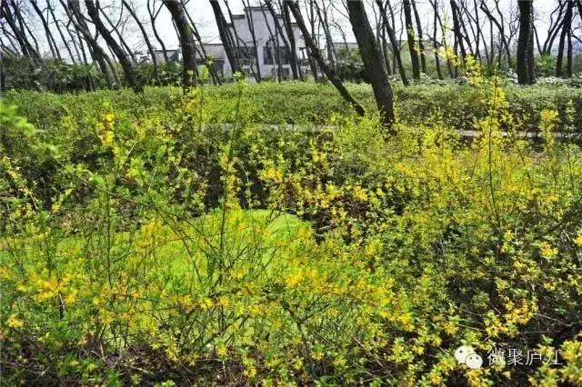 庐江乐桥岱尔山景区,庐江矾山有哪些景区