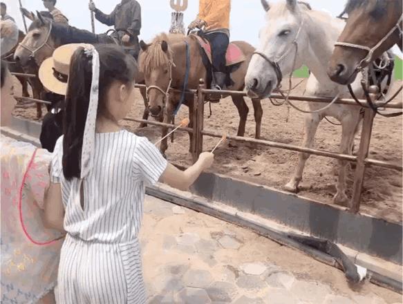 暑假内蒙古旅游攻略亲子,暑假亲子游玩内蒙古5天4夜