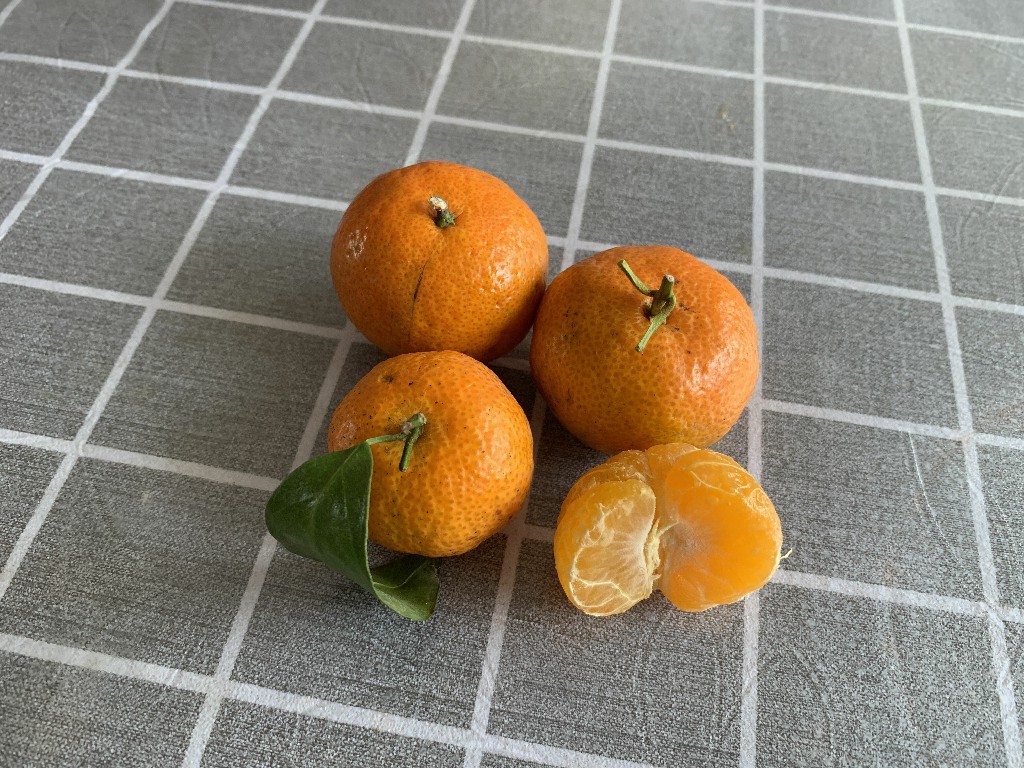 经常吃砂糖橘手会发黄吗,经常吃砂糖橘对孩子好吗