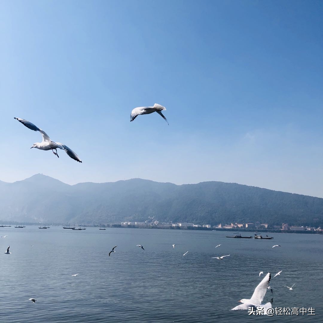 云南大学拆分出来的学校,云南大学是什么级别的学校