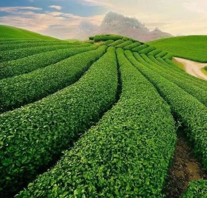 贡享和谐和济共生—贡和堂品牌文化及平台介绍