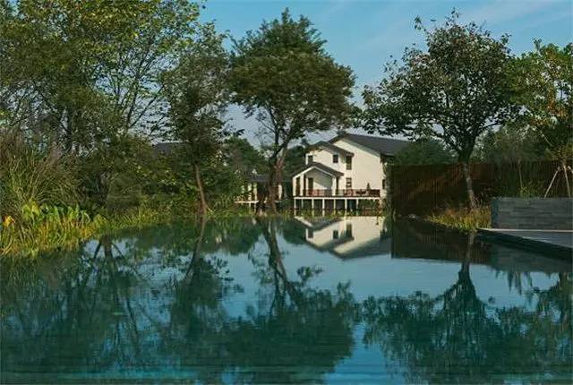 杭州最美民宿落地窗湖景房,杭州最美十大民宿酒店
