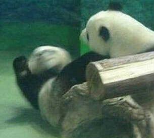 dnf国服95版本职业排行榜最新,dnf8.17国服全职业排行