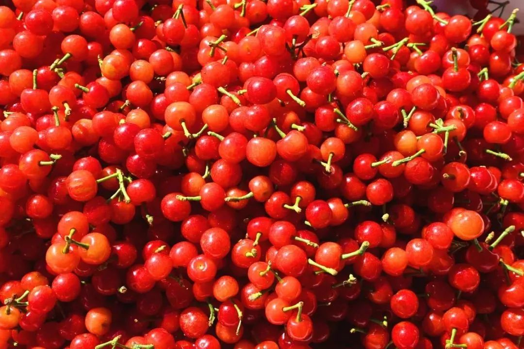 好吃的攀枝花当季新鲜水果 (攀枝花这两天特色水果)