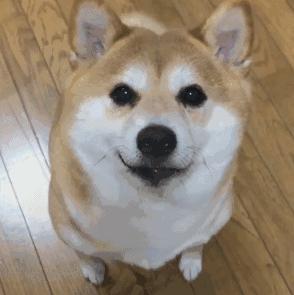 免费app是怎么盈利的,免费视频网站靠什么盈利