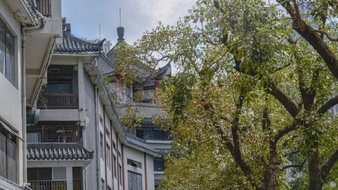 东门现在的样子,东门的情况