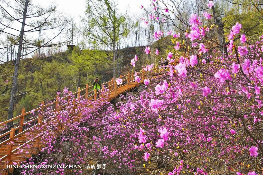 寻找中国最美的春季,探寻中国最美秘境