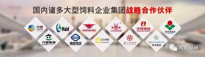 澳洲进口益生菌推荐牌子,澳洲强效肠道益生菌