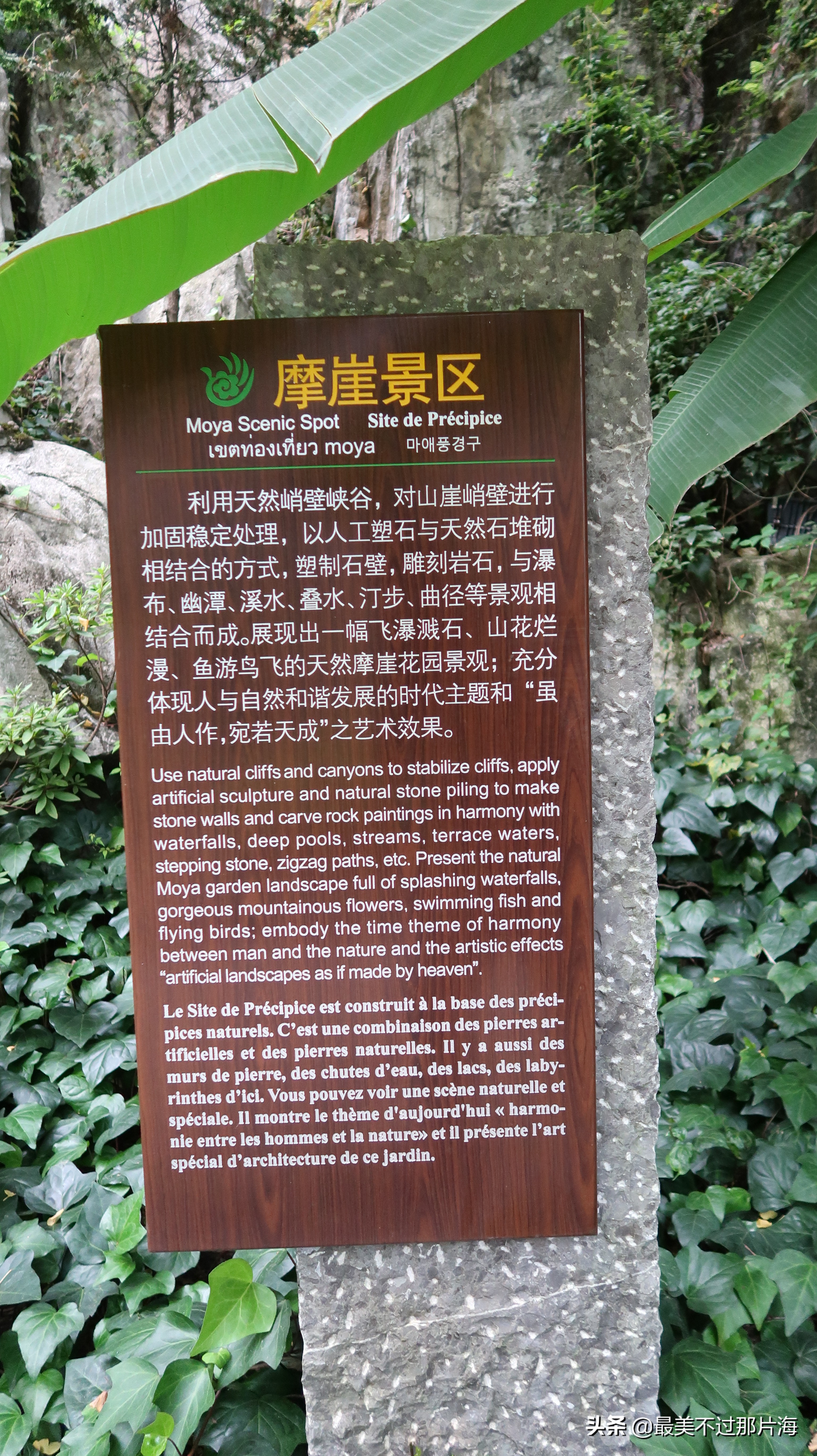 昆明世博园和云南大观园游玩攻略,昆明有个世博园四季如春好地方