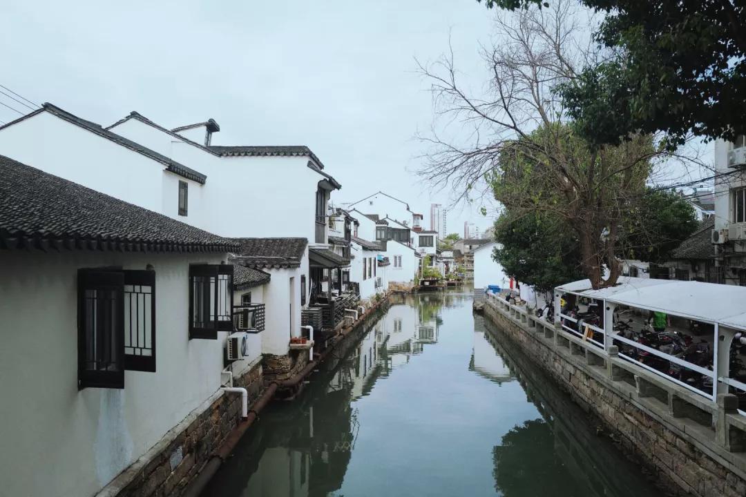 探苏州年轻人最爱逛的菜市场,苏州人气最旺的菜市场