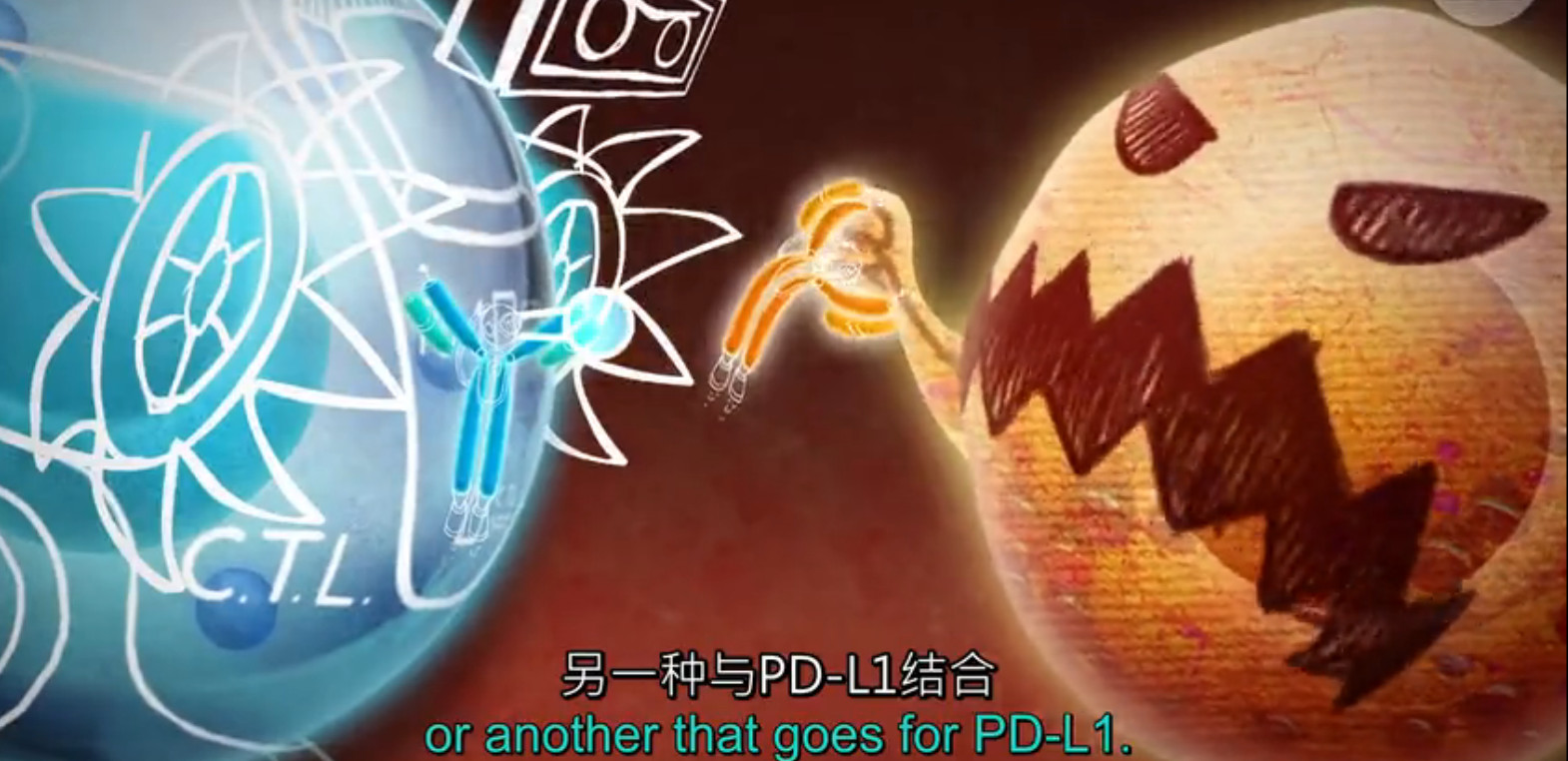 pd1肿瘤免疫治疗现状,什么是pd1免疫治疗费用