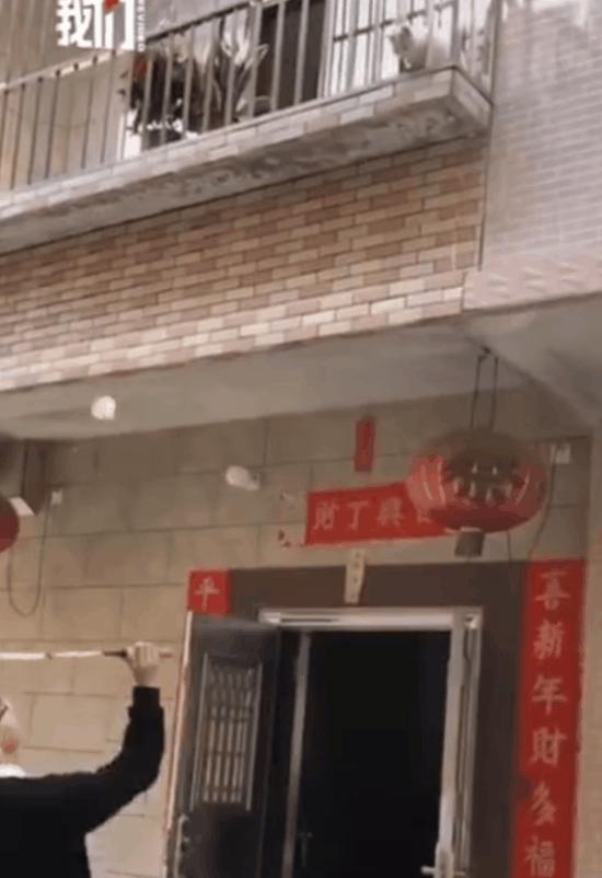 猫为什么喜欢屁股对着主人,猫对着人撅屁股是怎么回事