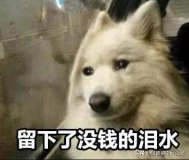 关店服装巨头破产,知名连锁店宣布破产全部关店