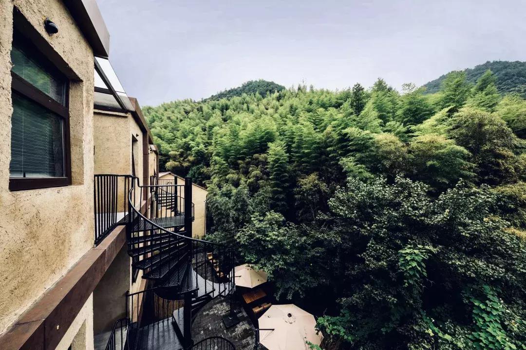 莫干山独一无二的酒店,莫干山像酒店一样的民宿