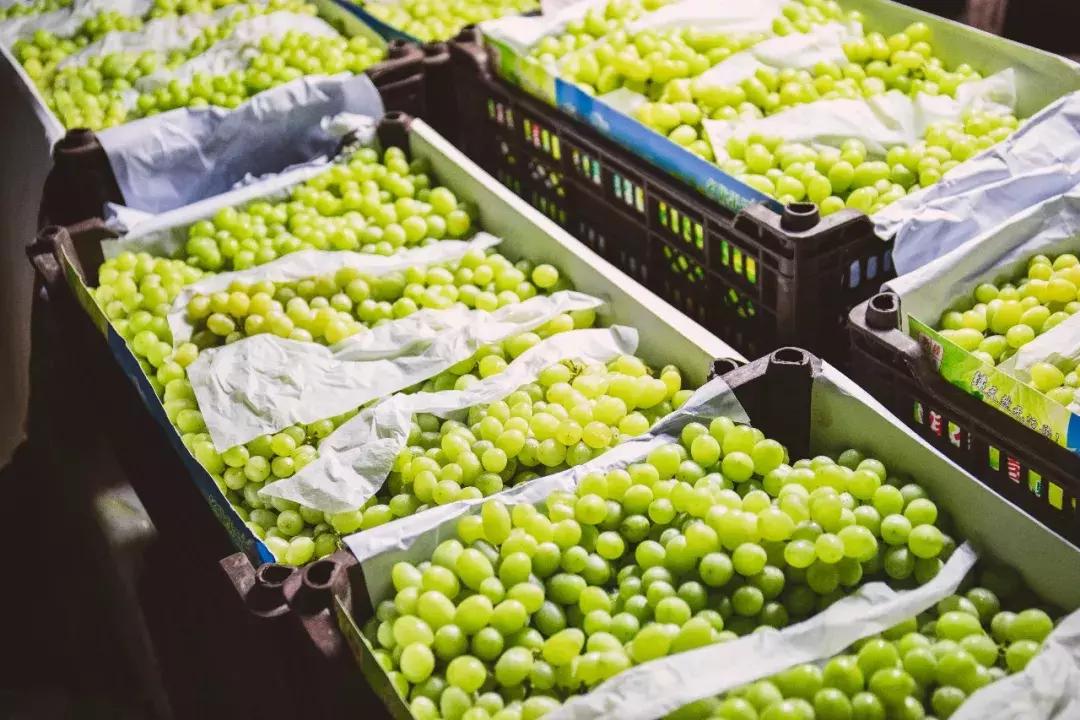 重庆的大型批发市场,最新最全重庆批发市场一览表