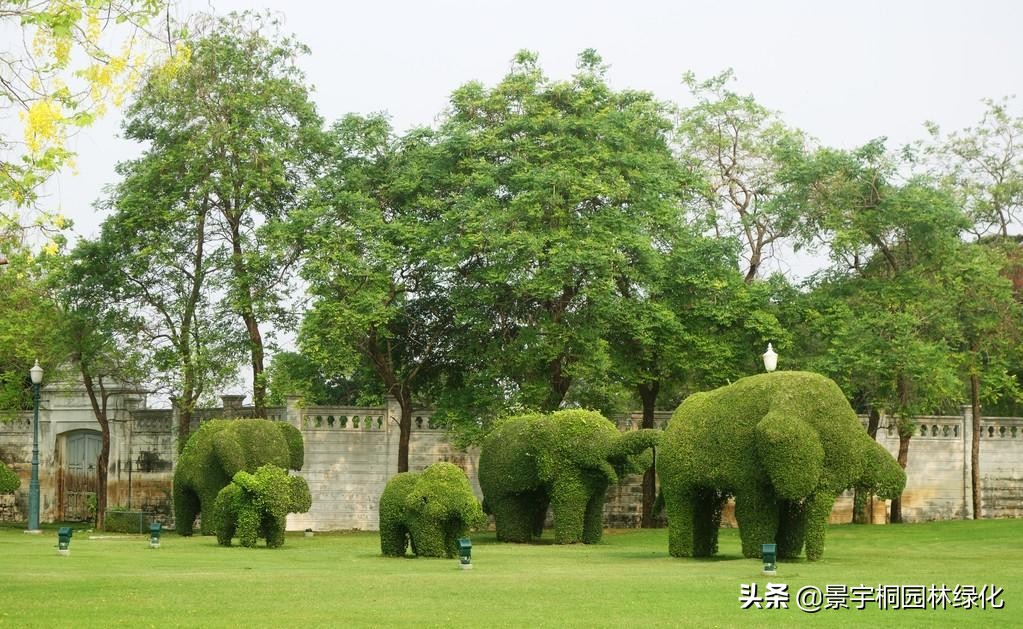 哪家园林绿化公司最好,口碑好的园林绿化公司排名