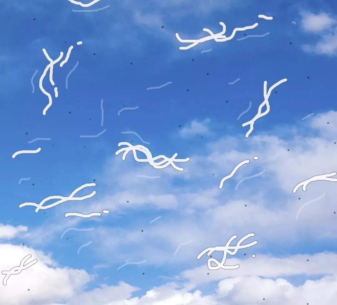 得了飞蚊症能喝酒吗,老年人得了飞蚊症