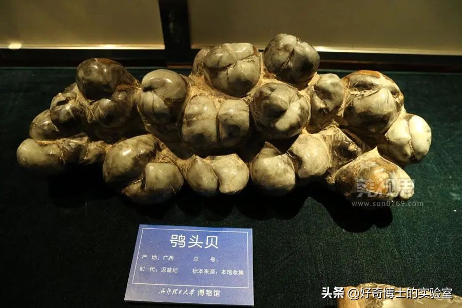 手机进水放米缸是什么原理,手机进水放进米缸有用吗