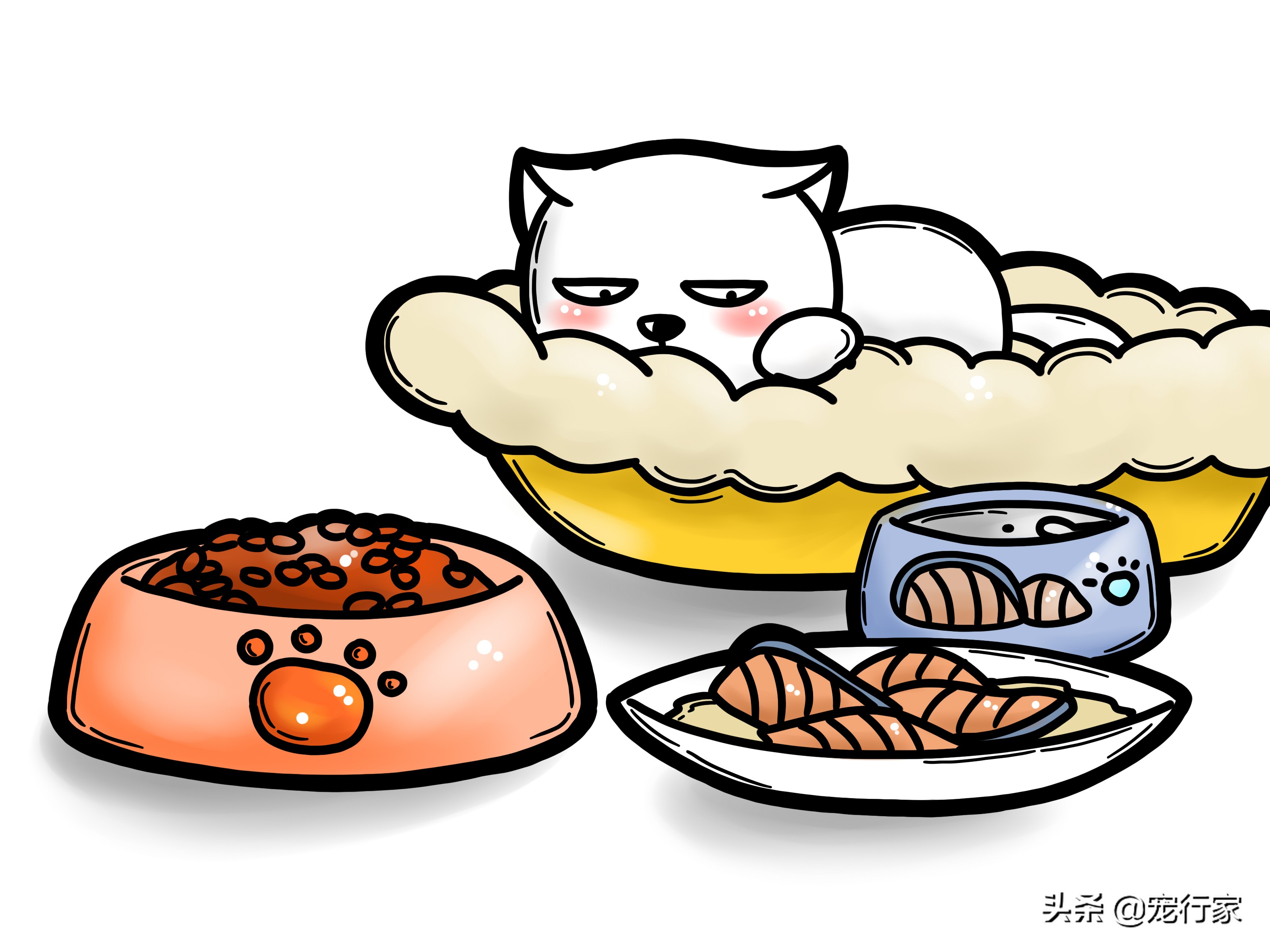 生骨肉猫吃得少,猫粮生骨肉的喂养方法