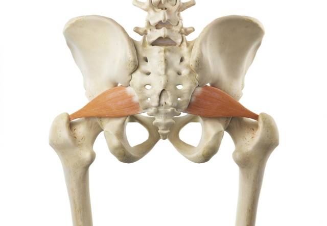 臀部大腿小腿不适,右侧大腿和臀部不适