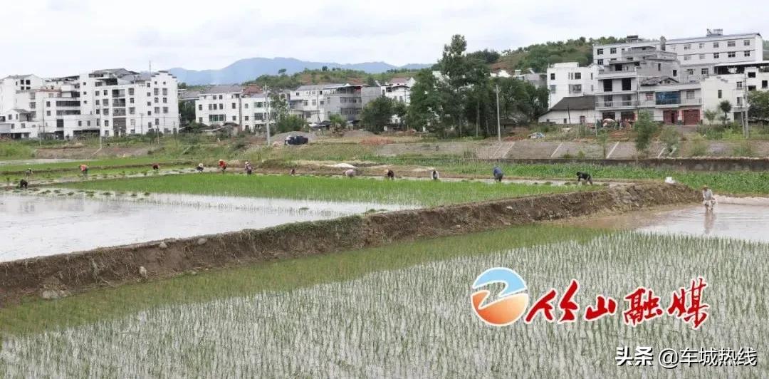 十堰守护美丽河湖,守护竹山