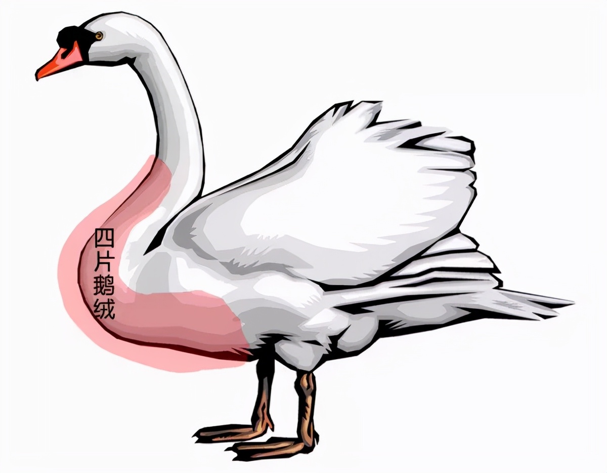 蒙口moncler羽绒服评测,蒙口moncler新款羽绒服