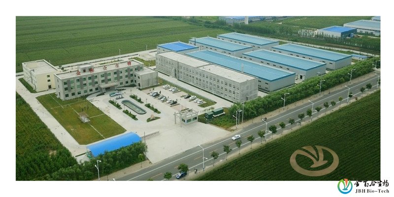 专访：河南金百合生物科技股份有限公司总经理李克克