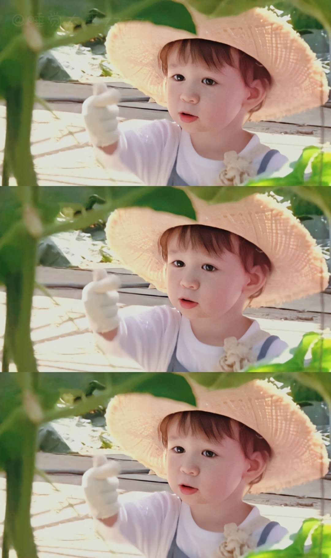 威本联盟壁纸,威本联盟壁纸高清图片