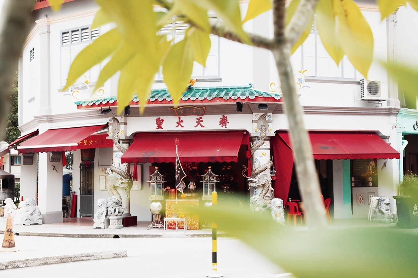 「怀念系列」新加坡|平价米其林+小众景点,3.5D我们不走寻常路3