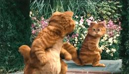 whatsyourmeaning什么意思,英语whatisyourname是什么意思