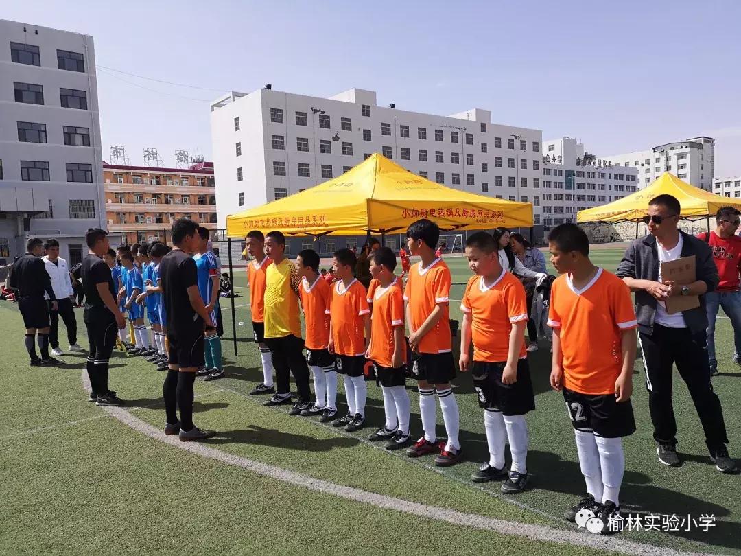 阳光少年展示,阳光少年展风采