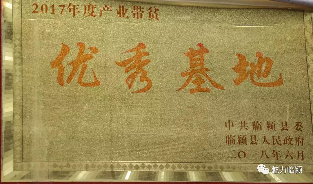 临颍:尚纪安计划5年把刘庄打造成河南最大的花卉种植交易基地