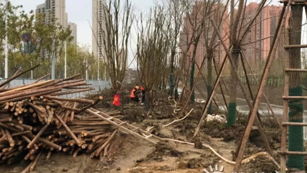 荆州森林公园规划,荆州水上公园