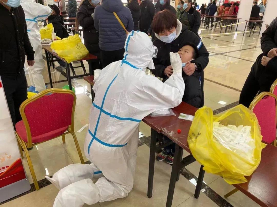 这里的玉兰花开了