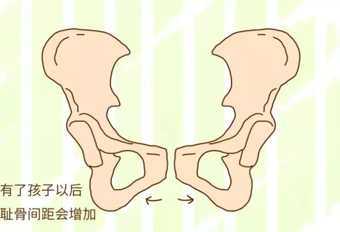 孕晚期大腿内侧根部疼影响顺产吗,孕晚期走路耻骨没有那么痛了