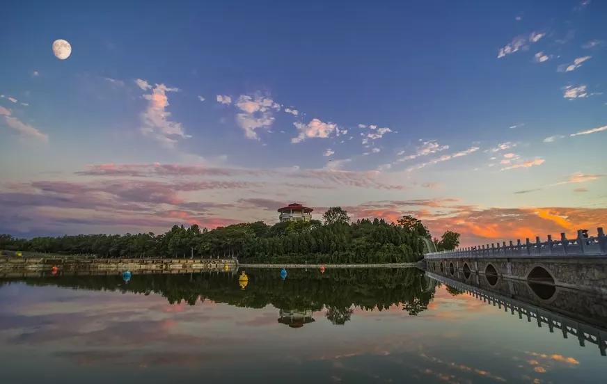 北京丰台五一旅游最佳去处,丰台区赏花景点