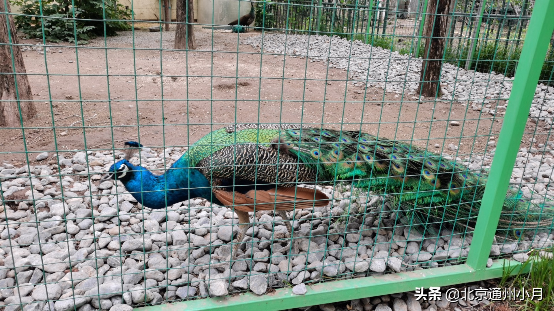 北京适合遛娃的公园,北京户外遛娃好去处冬天