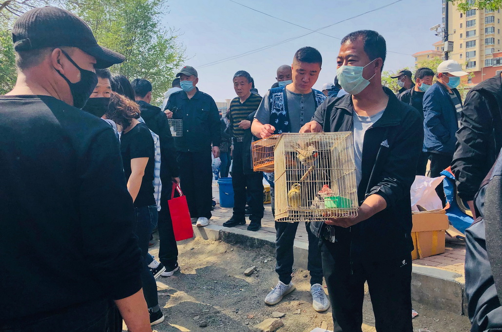 阜新旧货市场有哪些,阜新旧货市场都有啥