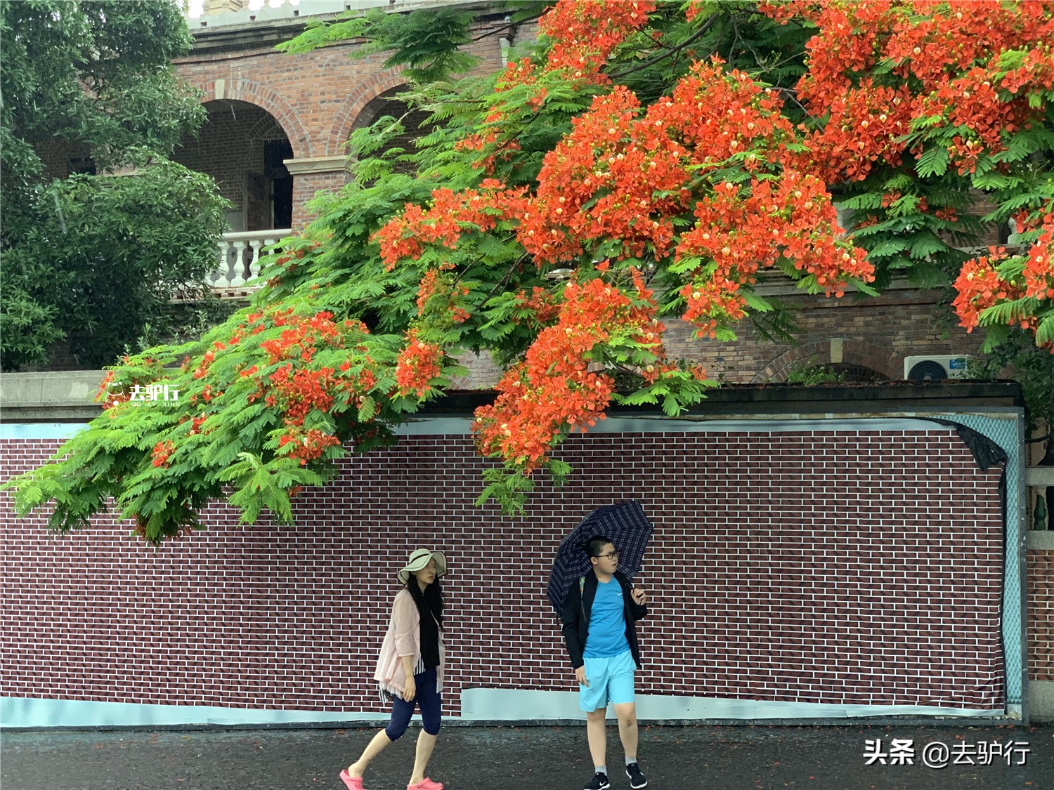 在厦门生活的感受300字,在厦门生活舒服吗