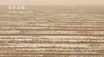 很好看的国货品牌,好吃的国货良心推荐