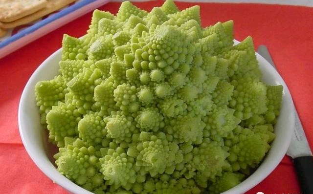 世界上最奇特的几何图形,科学家发现上帝指纹