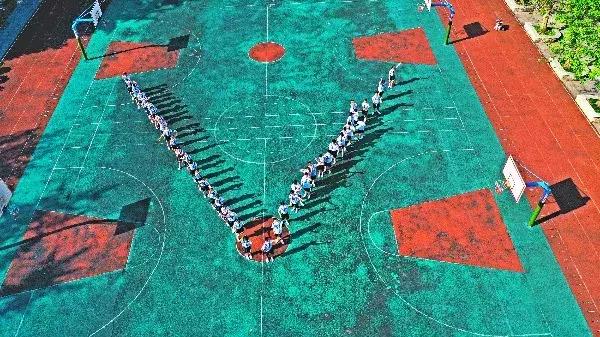 盐道街小学是五朵金花吗,五朵金花深度解析