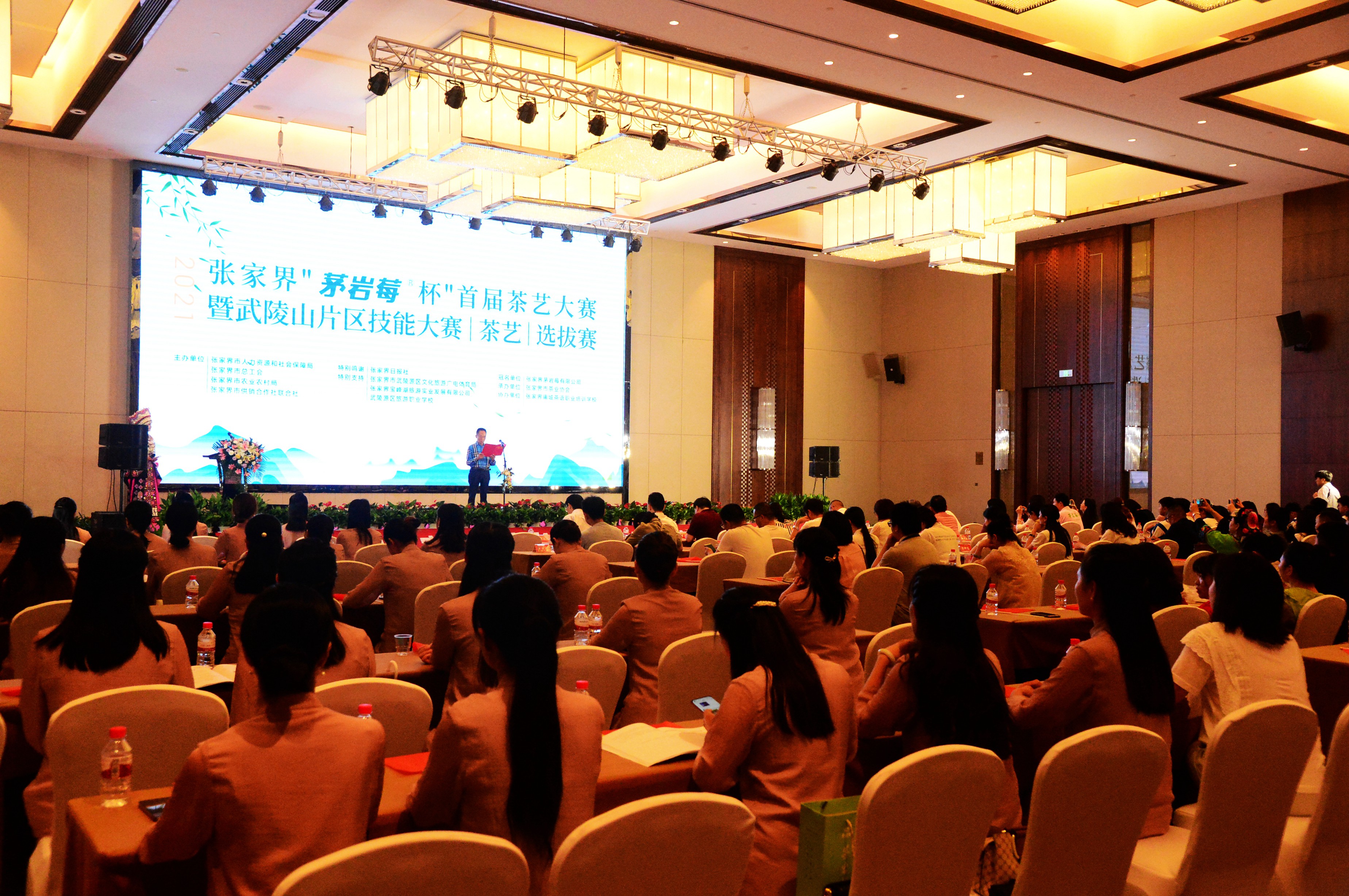 张家界莓茶茶艺比赛,张家界首届茶艺大赛