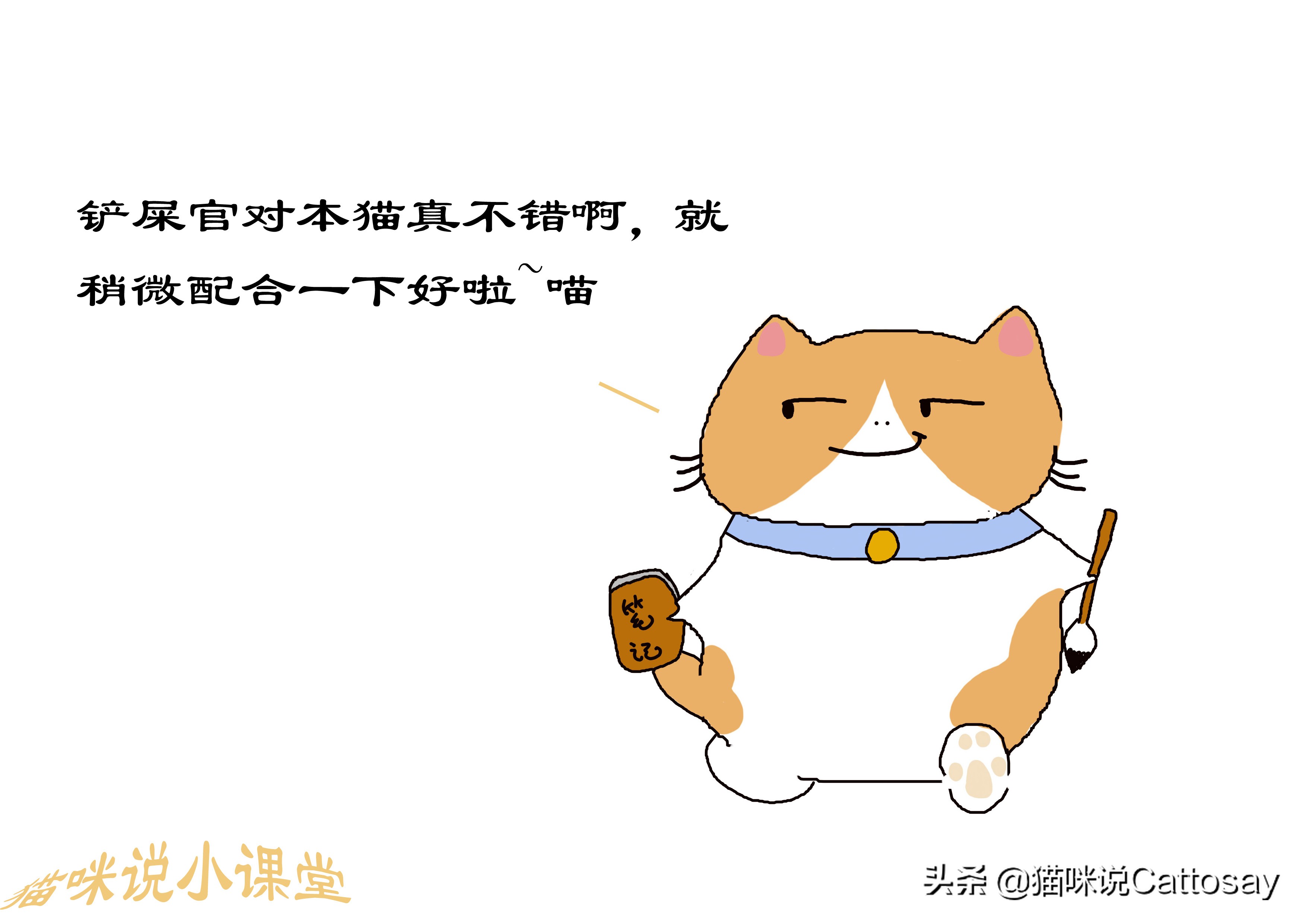 想养猫的精神状态,想养猫的人要注意什么
